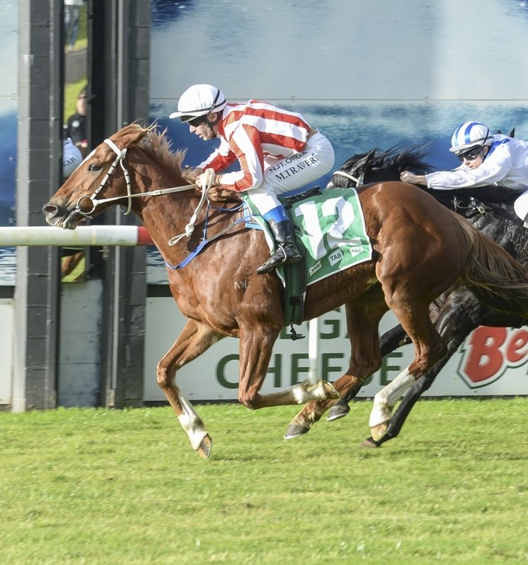 Roughie Out To Replicate Long Priced Win At Moruya (Tuesday) Racing
