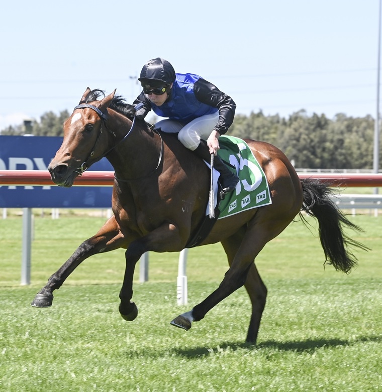 Newnham Stable Set To Break Hawkesbury Drought (Thursday) - Racing New ...